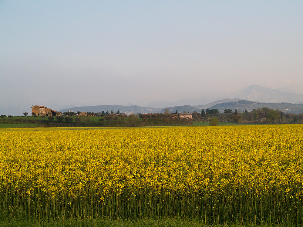 Frühlingsstimmung im Trentino