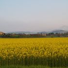 Frühlingsstimmung im Trentino