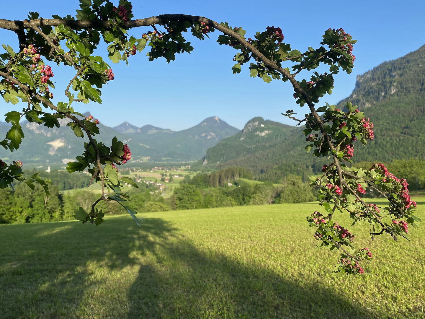 Frühlingsstimmung im Wendelsteingebiet