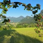 Frühlingsstimmung im Wendelsteingebiet