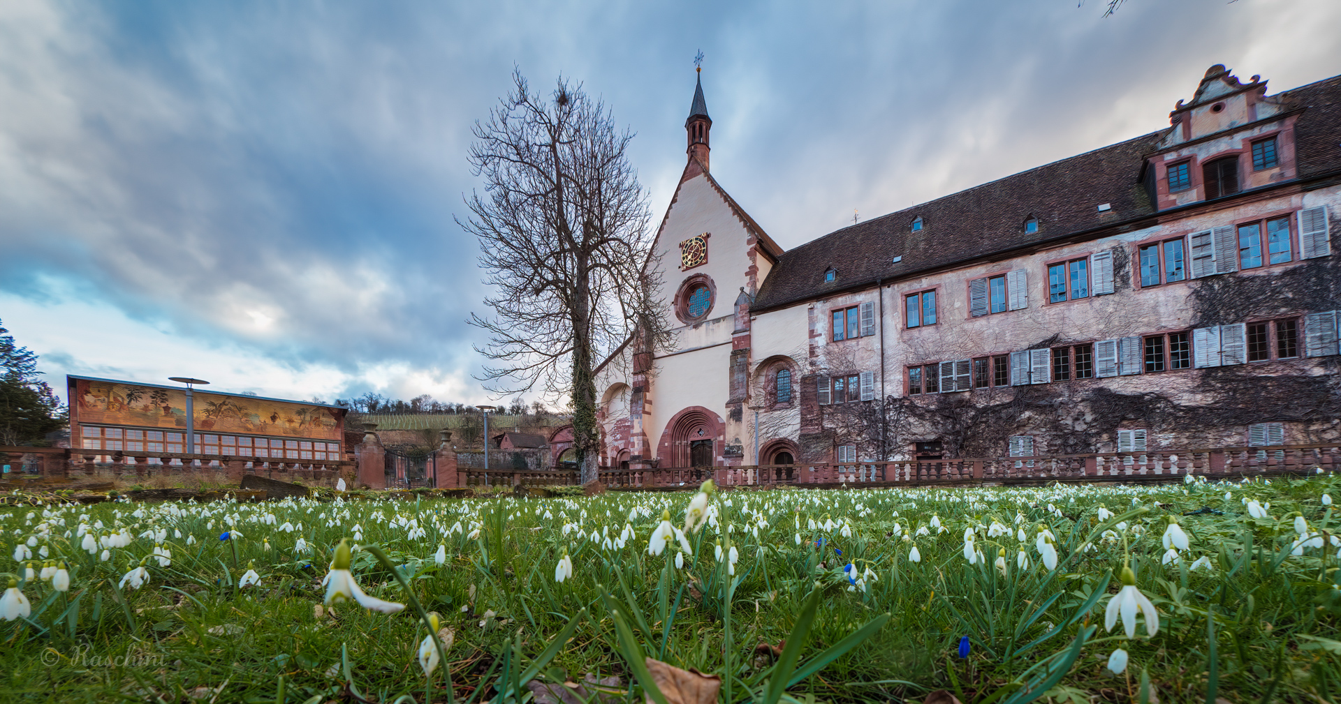 FRÜHLINGSSTIMMUNG IN BRONNBACH