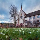 FRÜHLINGSSTIMMUNG IN BRONNBACH