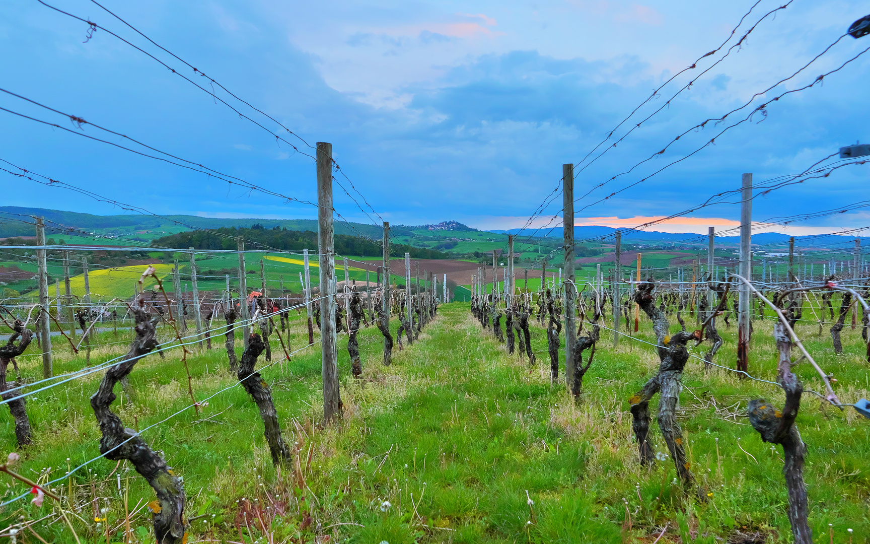 Frühlingsstimmung in den Umstädter Weinbergen mit Blick auf den Otzberg