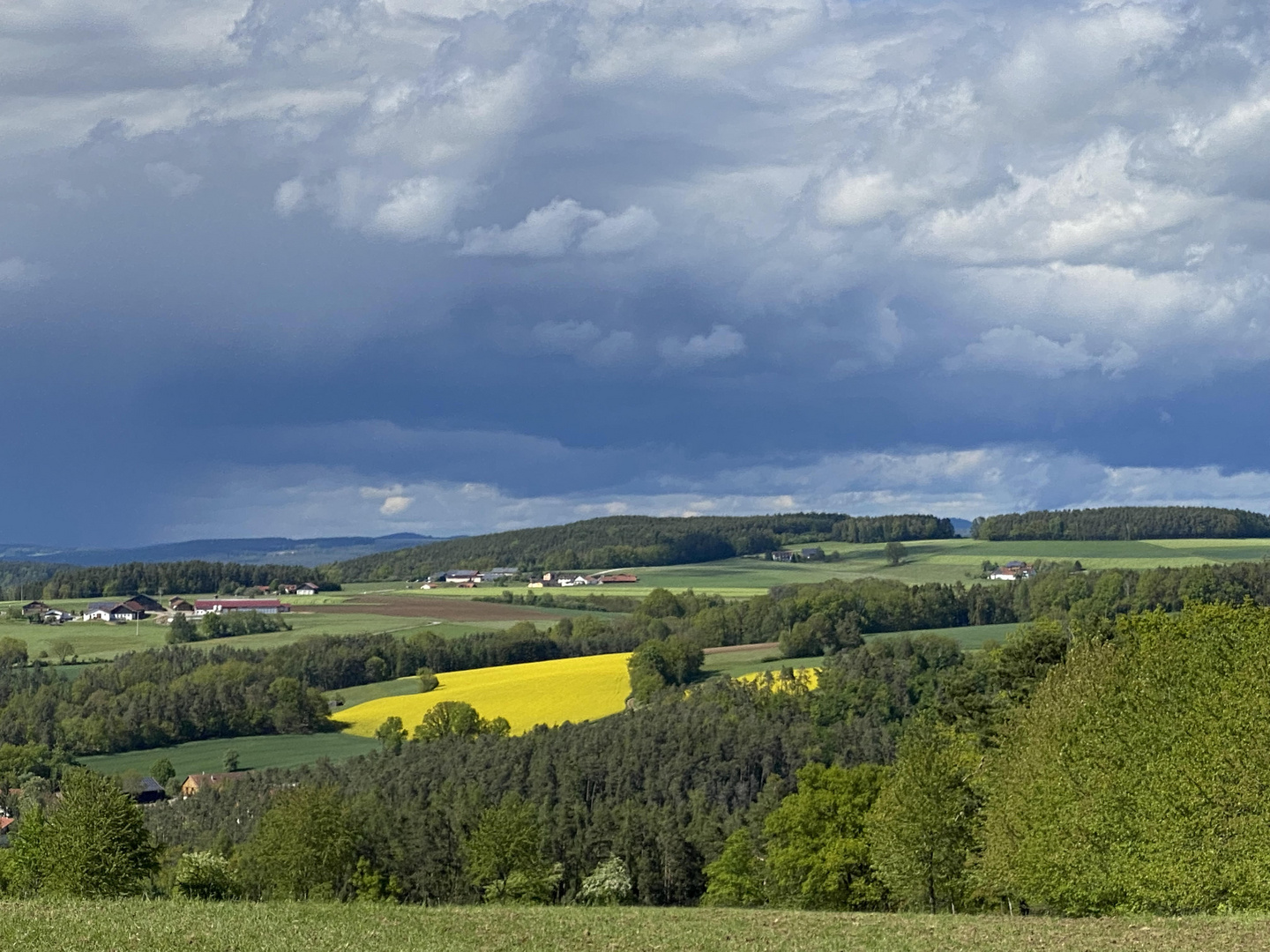 Frühlingsstimmung in der Oberpfalz