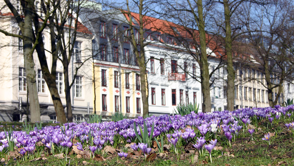 Frühlingsstimmung in der Stadt