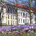 Frühlingsstimmung in der Stadt