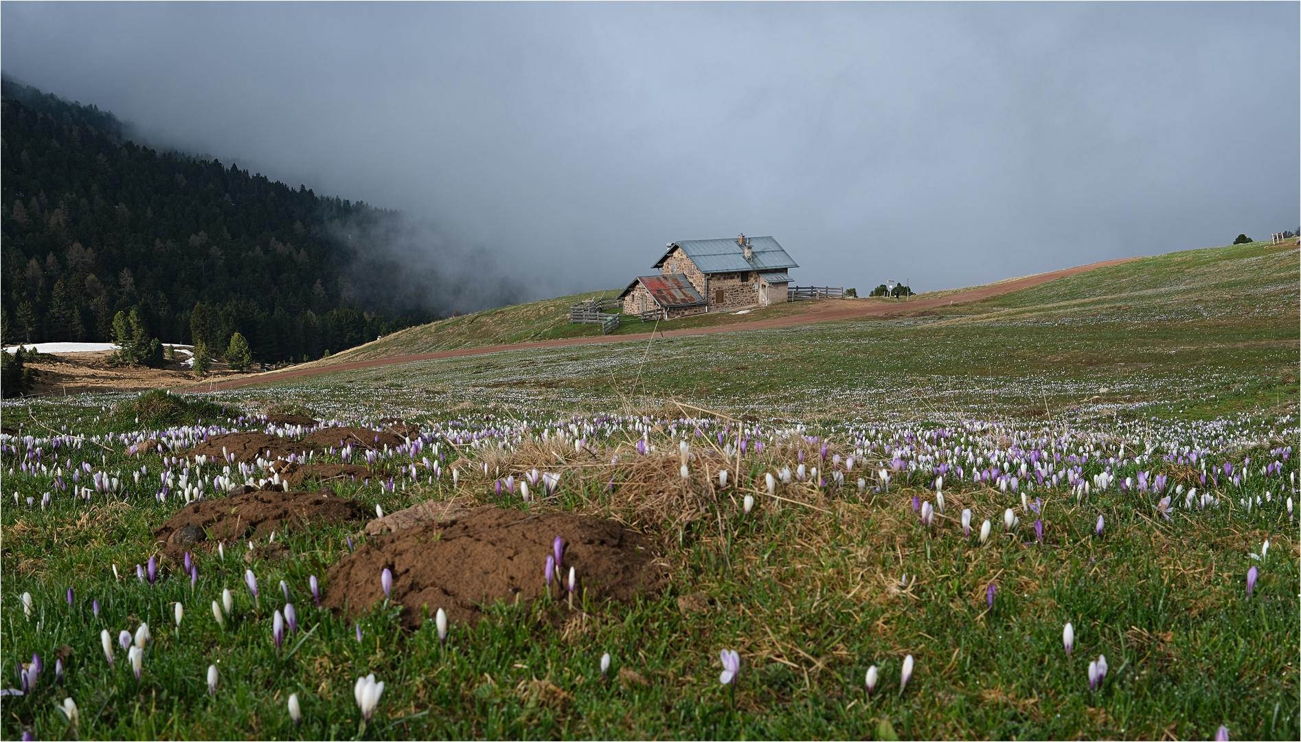 Frühlingsstimmung mit Hütte