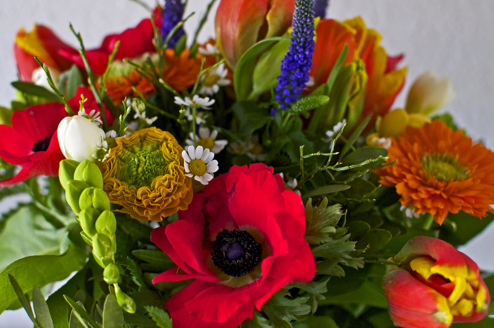 Fruhlingsstrauss Ein Schones Wochenende Foto Bild Pflanzen Pilze Flechten Bluten Kleinpflanzen Blumen Und Natur Bilder Auf Fotocommunity