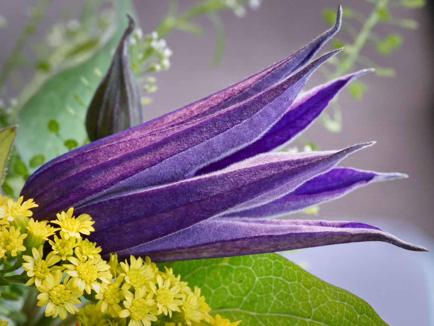 Frühlingsstrauß mit Clematis