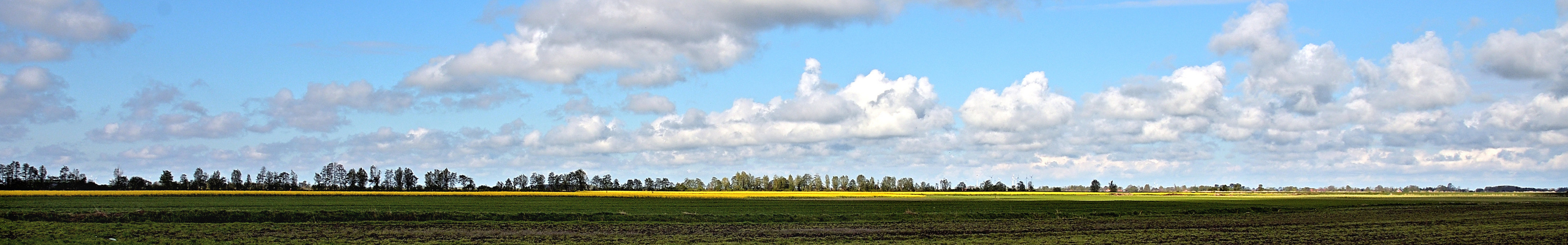 Frühlingsstreifen