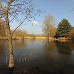 Frühlingsszene am Teich