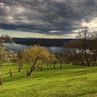 Frühlingstag am Bodensee