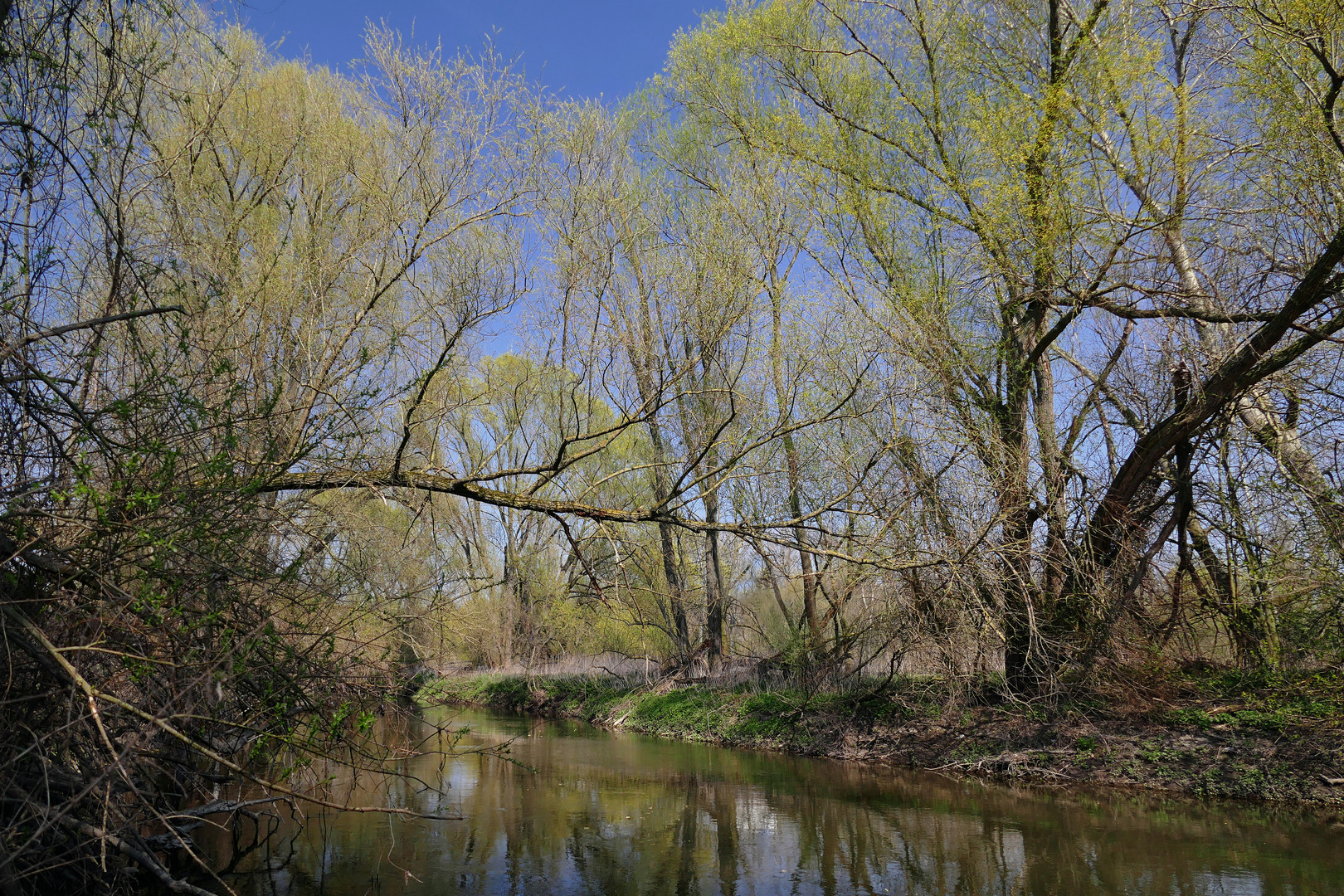 Frühlingstag am Fluss