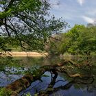 Frühlingstag am Kaulenteich