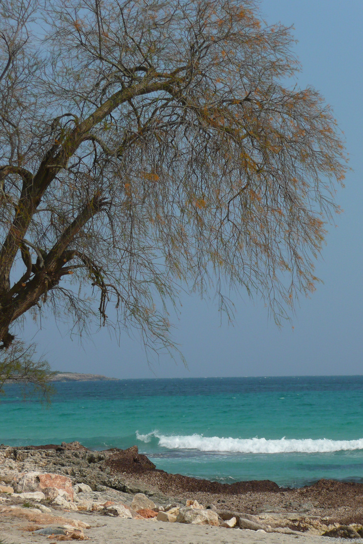 Frühlingstag am Meer