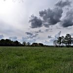 Frühlingstag am Niederrhein