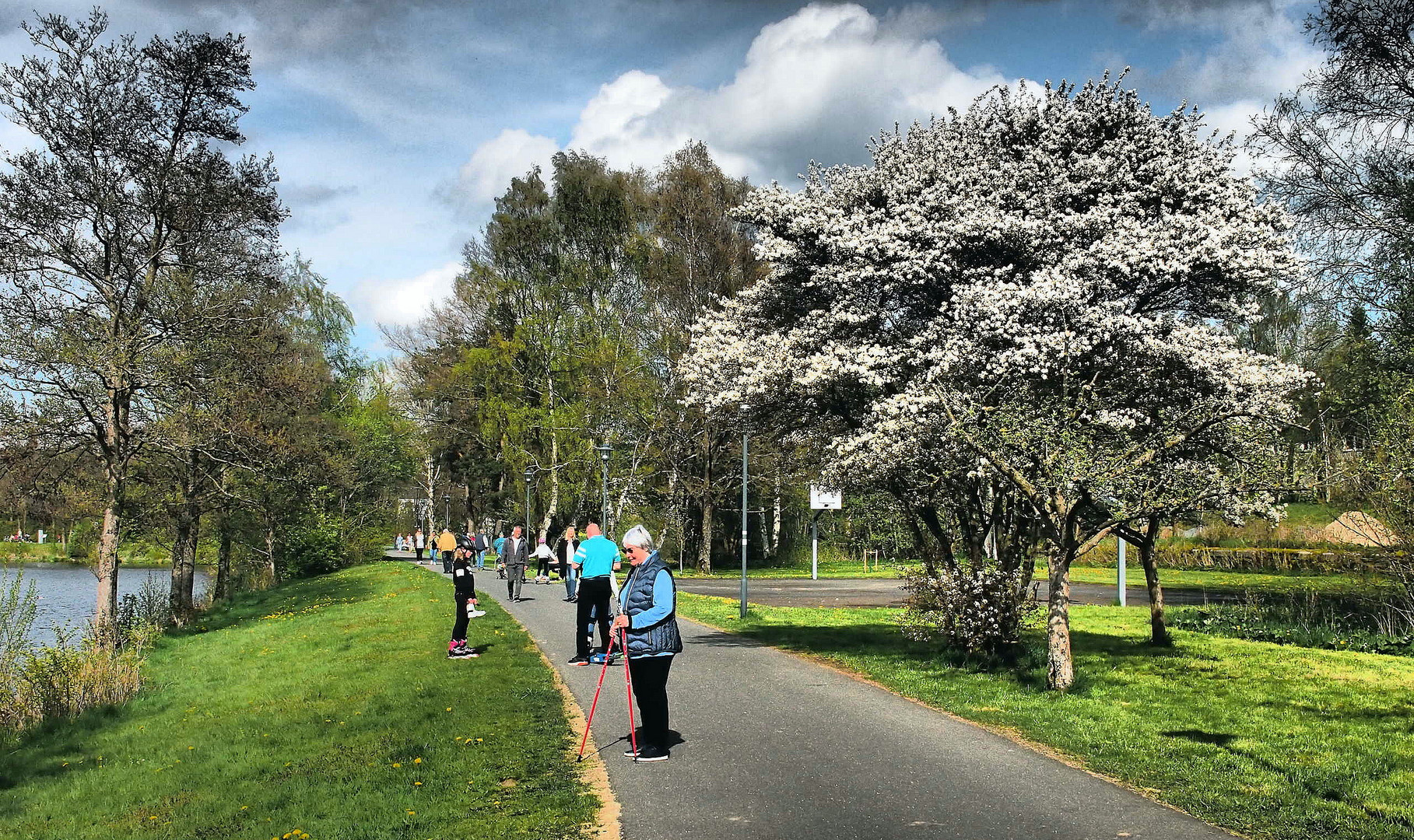 Frühlingstag am Seeparcours