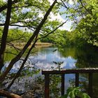 Frühlingstag am Teich