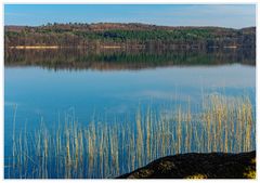 Frühlingstag am Tollensesee