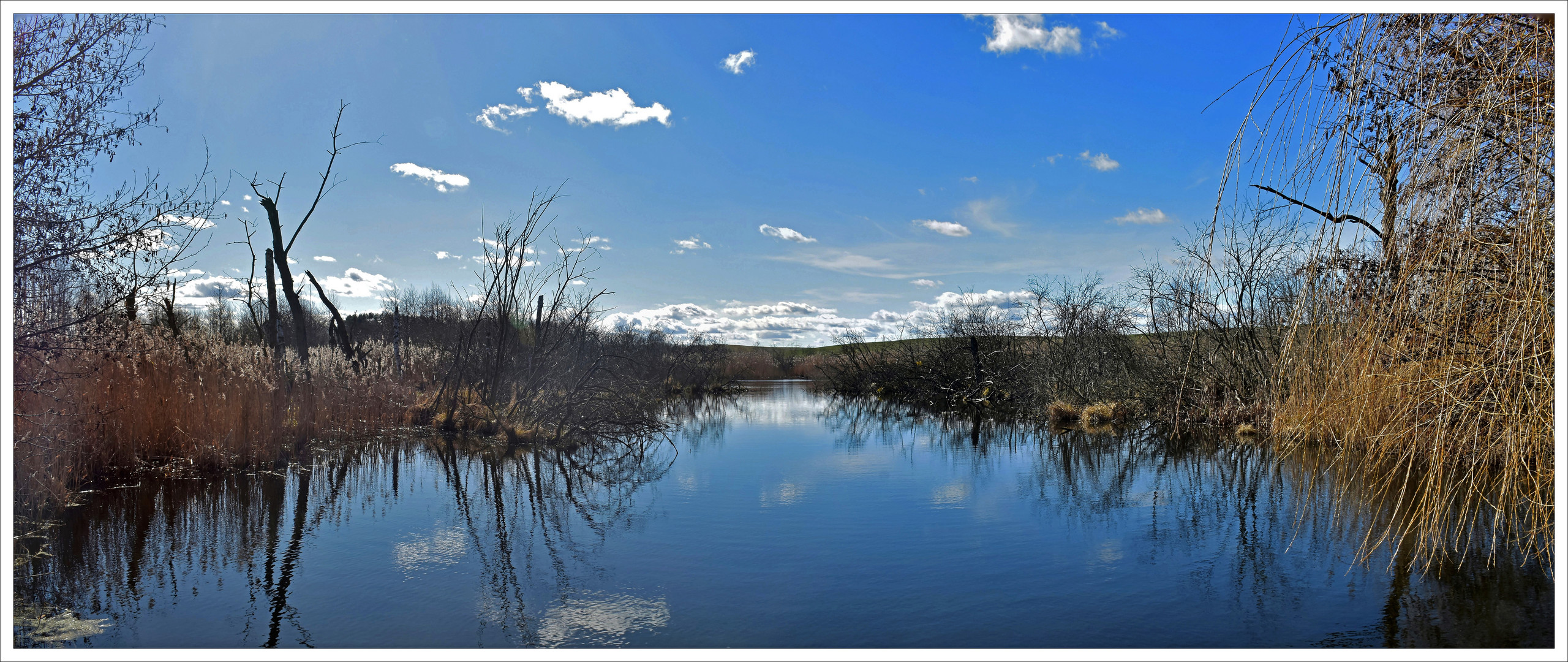 Frühlingstag am Weiher