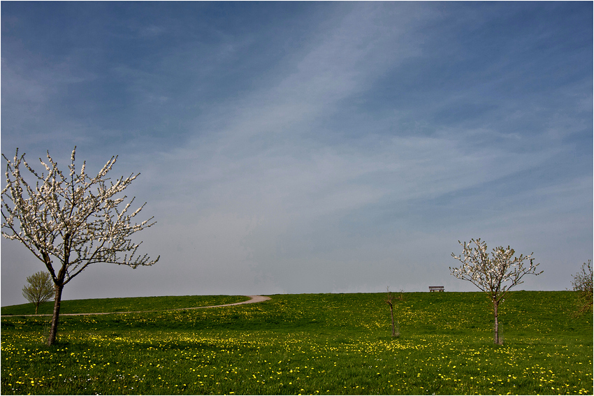 Frühlingstag