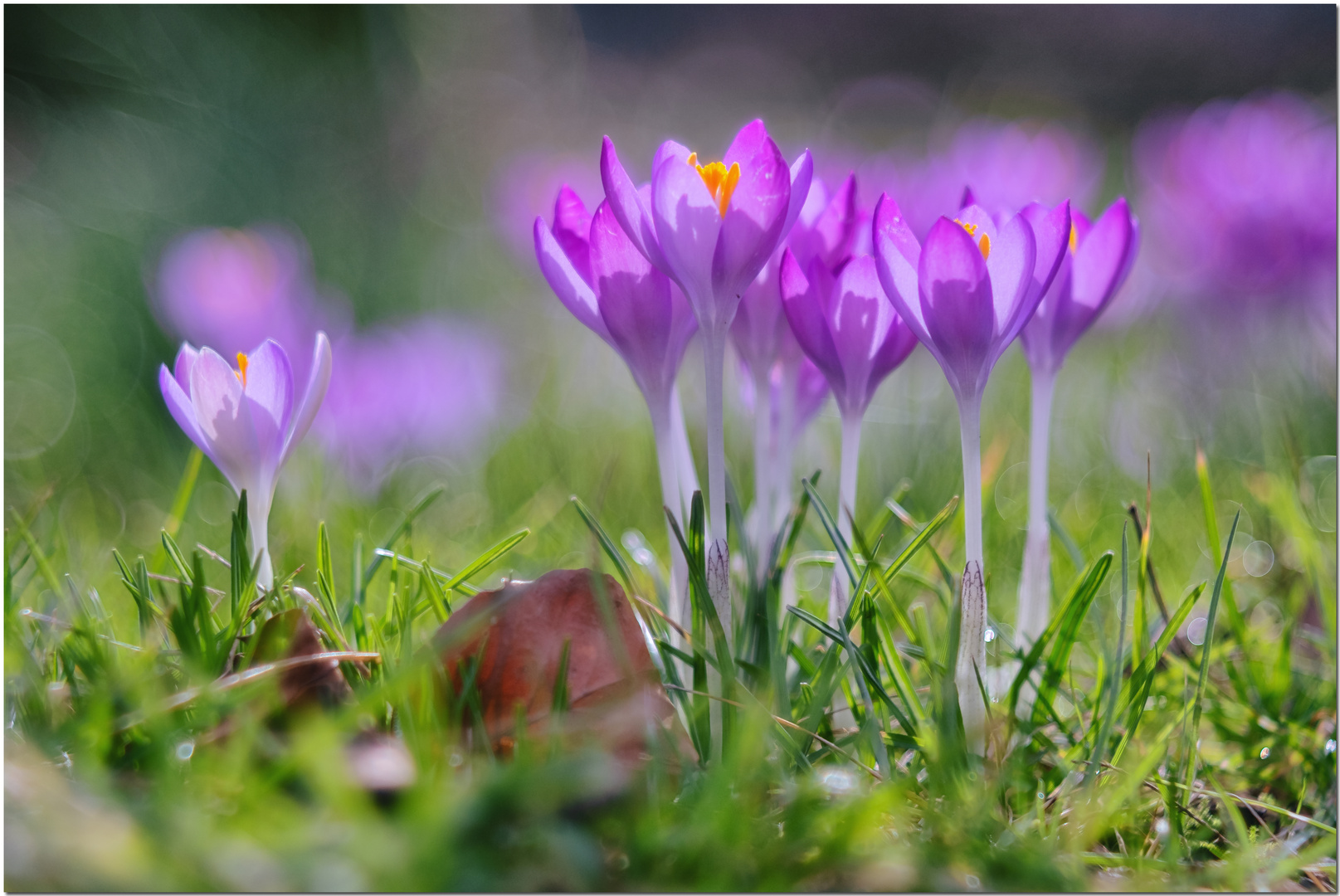 ---Frühlingstag---