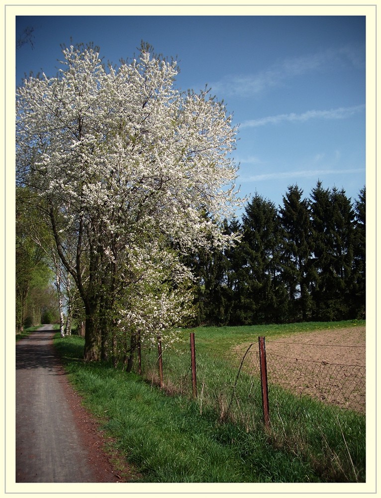 Frühlingstag