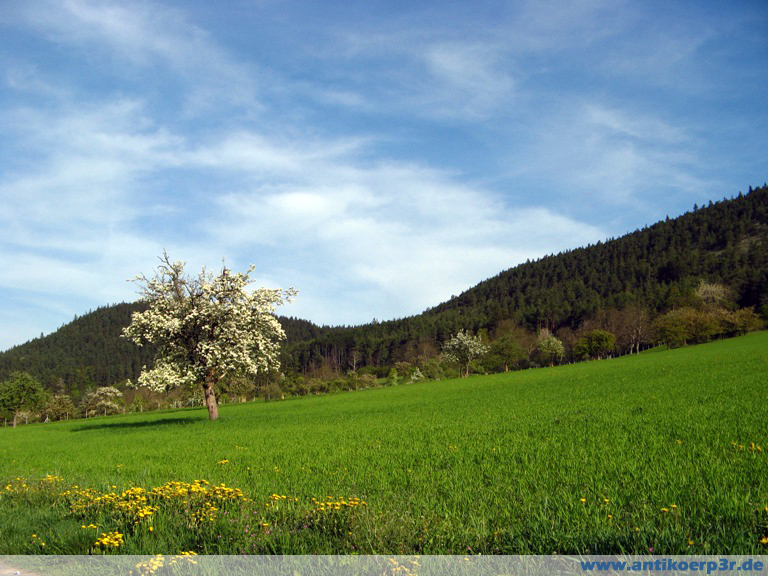 Frühlingstag