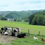 Frühlingstag im Bergischen Land