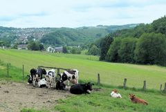 Frühlingstag im Bergischen Land