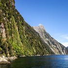 Frühlingstag im Milford Sound