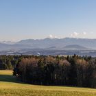 Frühlingstag im Winter