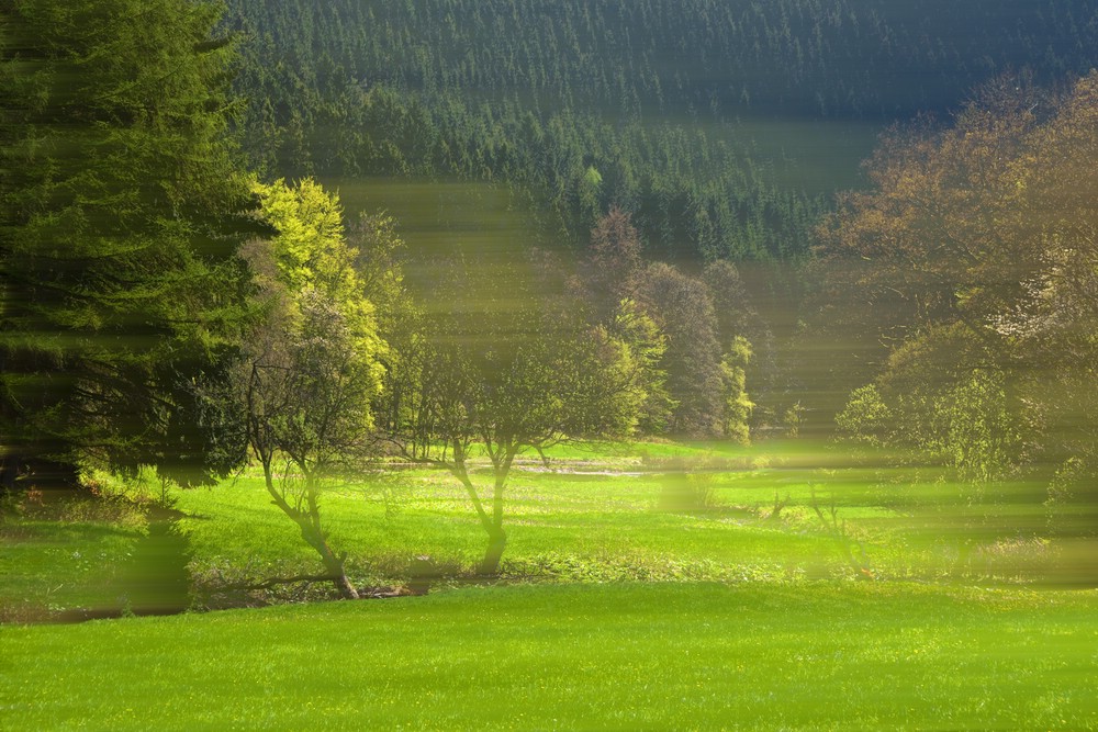 ** frühlingstal **