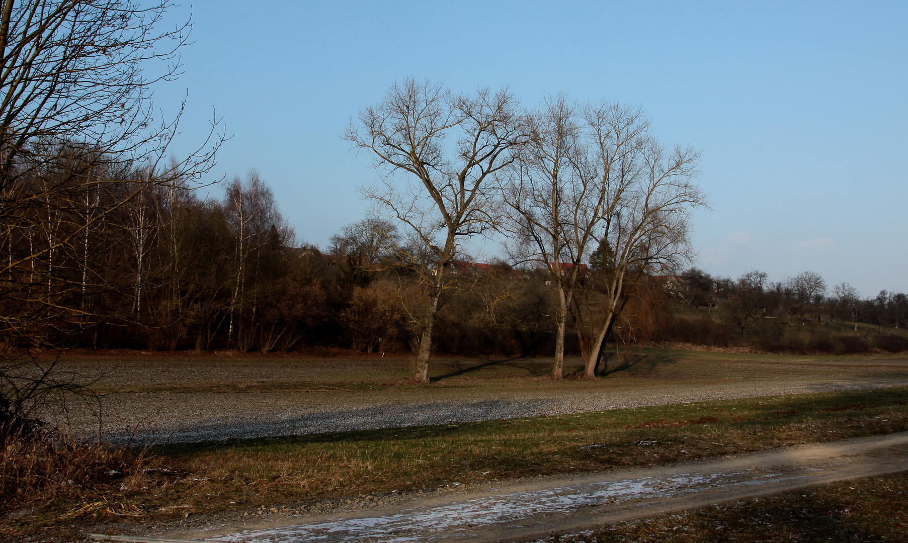 Frühlingstemperaturen im Winter