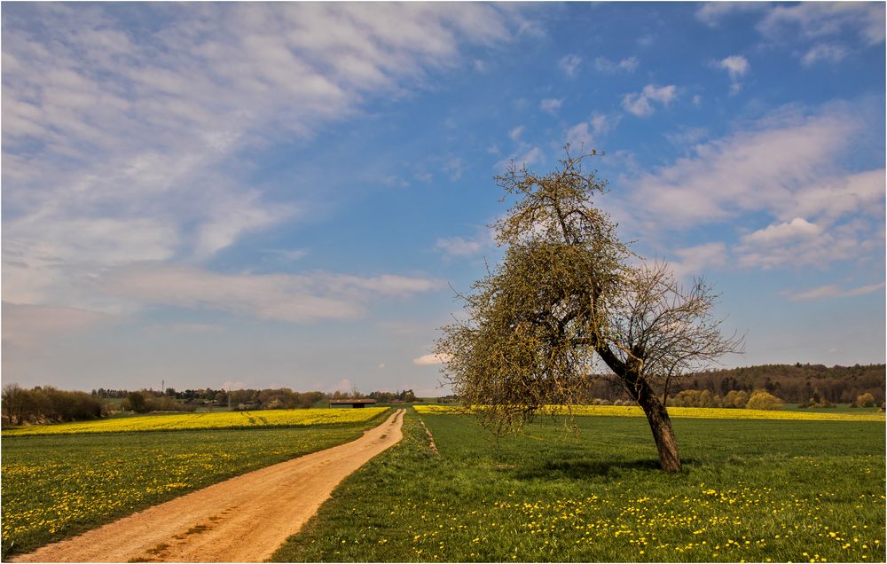 FrühlingsTour