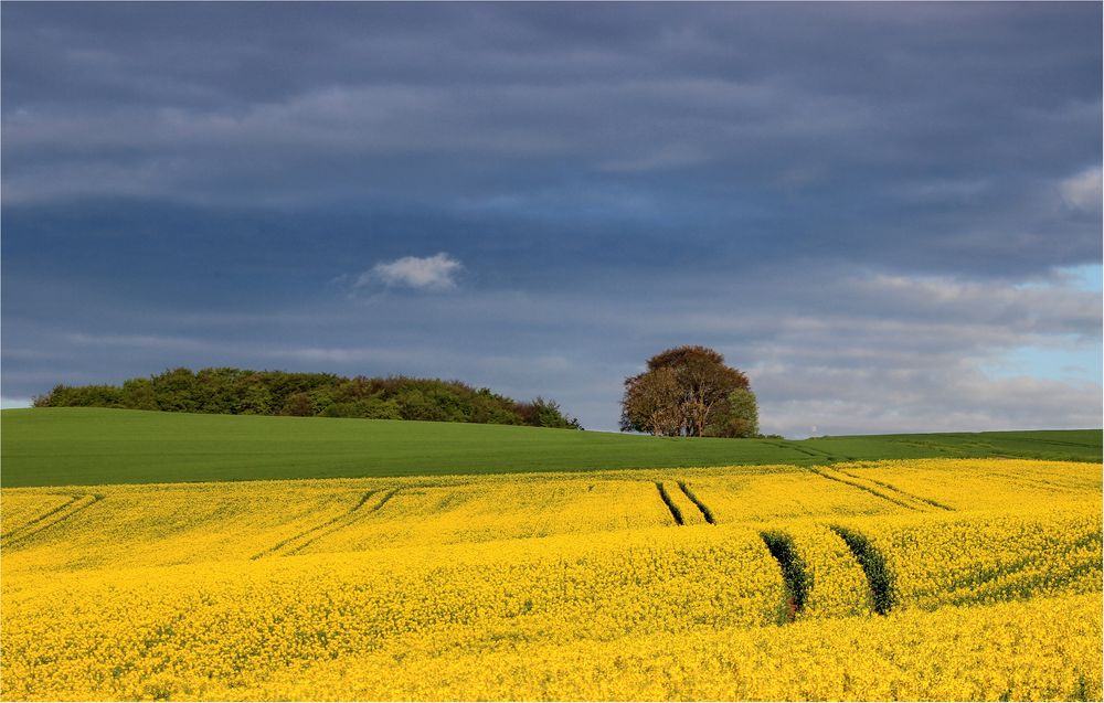 FrühlingsTour