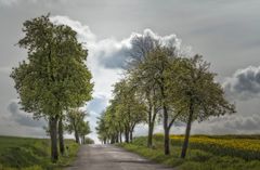 Frühlingsträume ...
