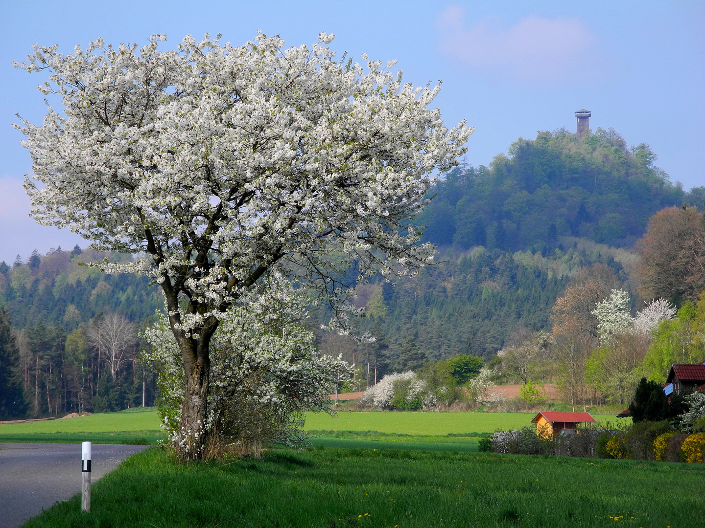 Frühlingsträume