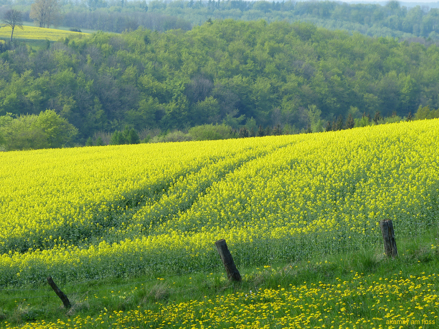 Frühlingsträume im Weserbergland