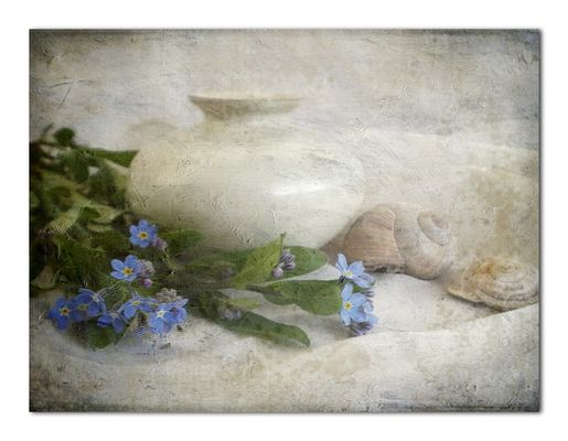 Frühlings.Träumerei