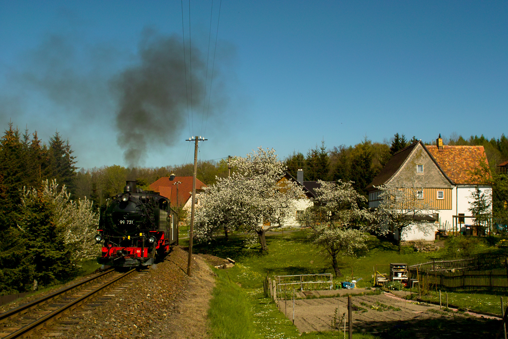 Frühlingstraum Oberlausitz