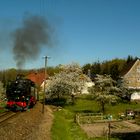 Frühlingstraum Oberlausitz