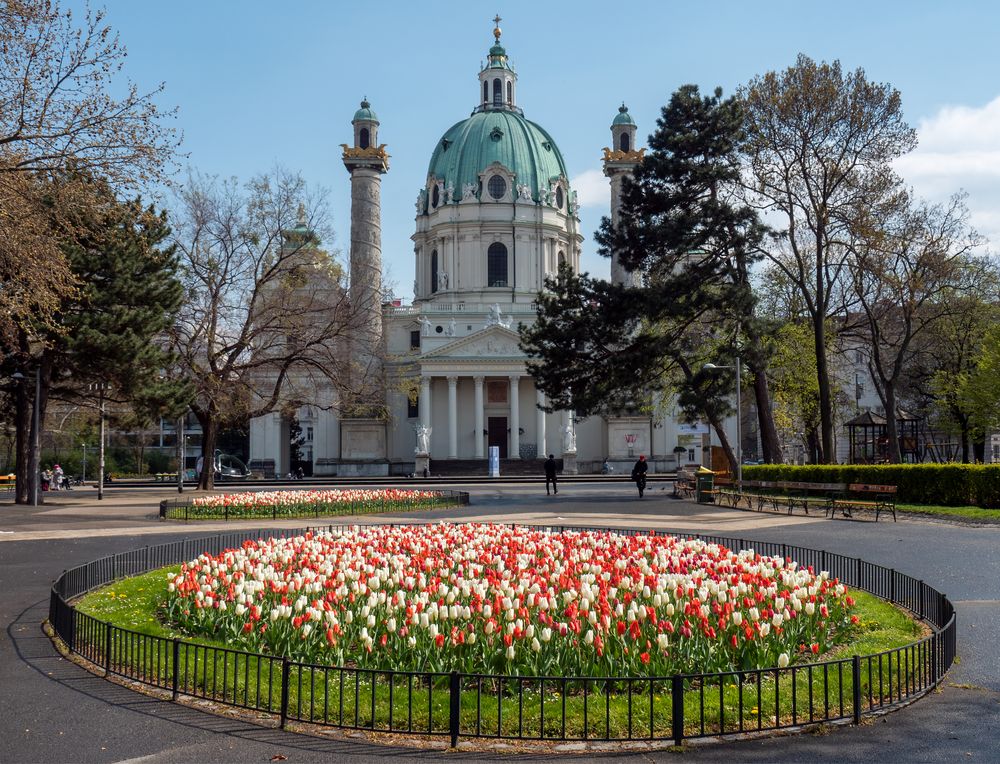 frühlingstulpenkreise...