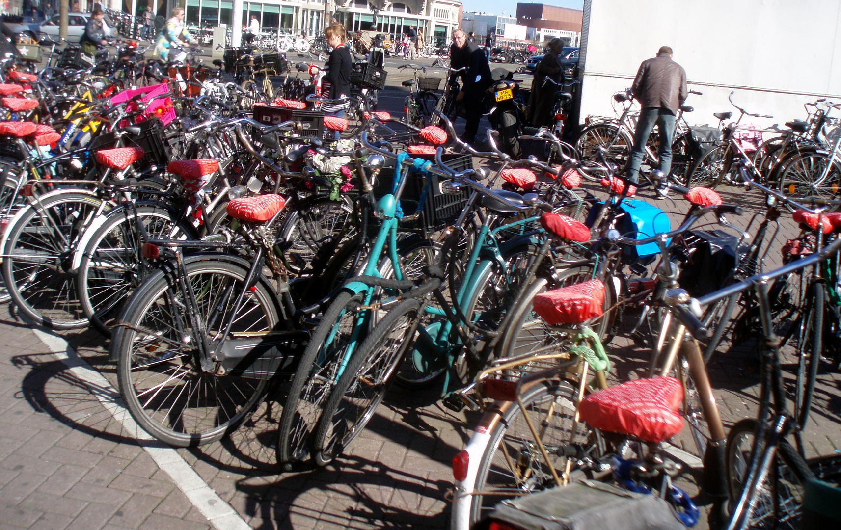 frühlingstupfer in amsterdam