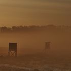 Frühlingsurlaub Rügen Mai 2022/ 18