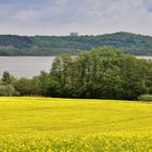 Frühlingsurlaub Rügen Mai 2022/ 2