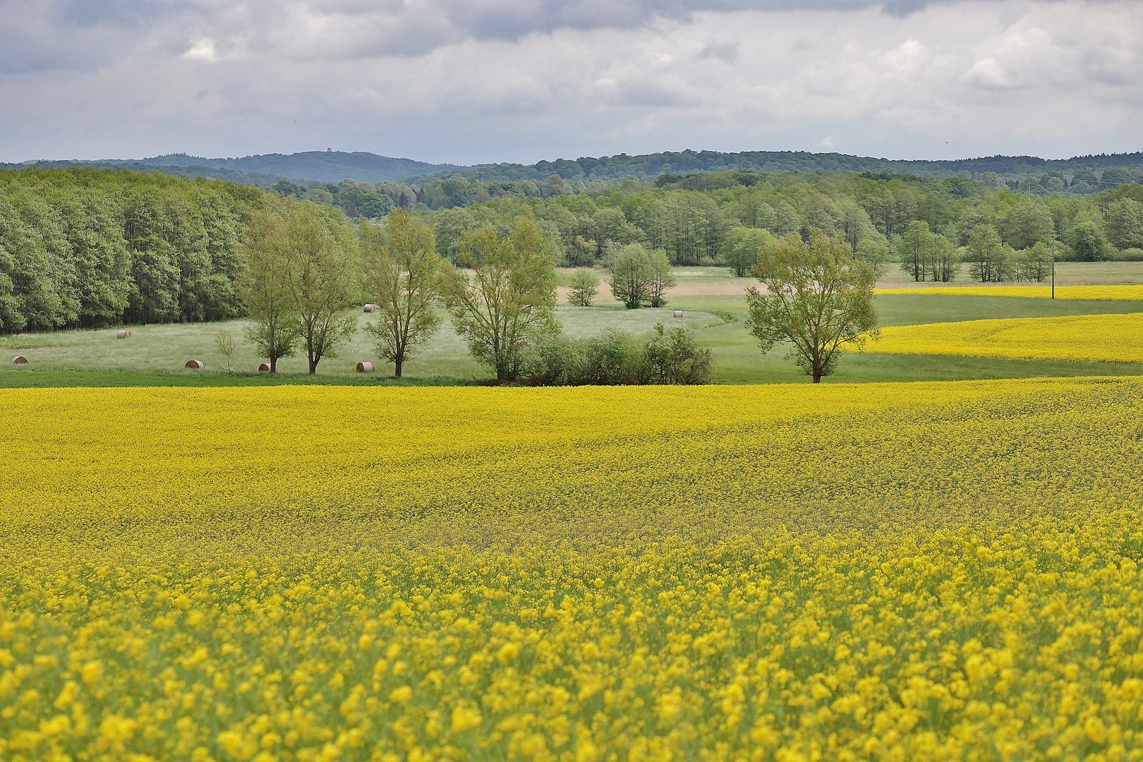 Frühlingsurlaub Rügen Mai 2022/ 9