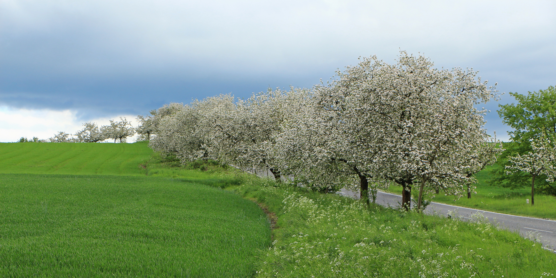 Frühlingsverheißung