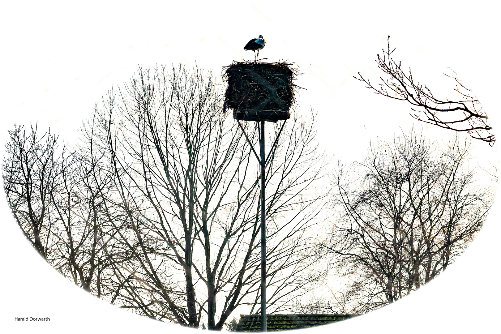 Frühlingsvorbote im Tierpark Forst