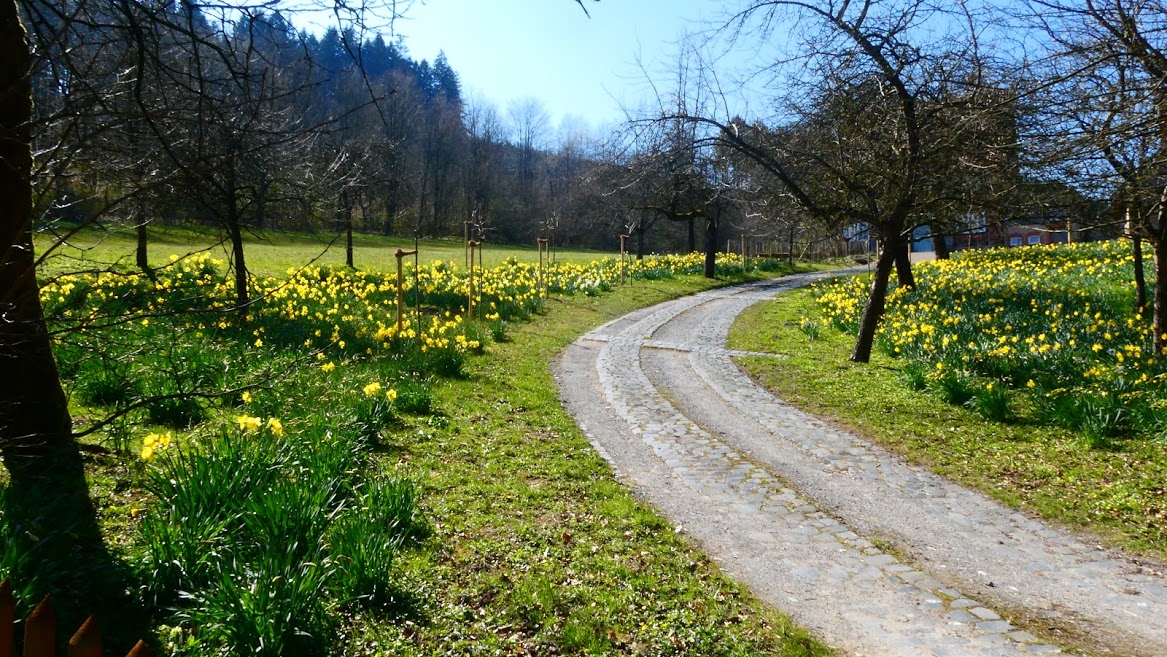 Frühlingswanderung 2